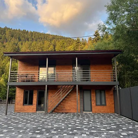 度假居 садиба-сойми Mizhhirya (Transcarpathia)